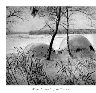 Winterlandschaft in Sibirien