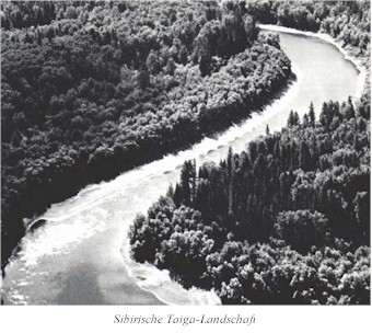 Sibirische Taiga-Landschaft