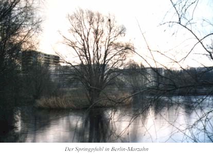 der springpfuhl in berlin-marzahn