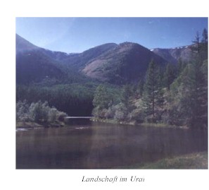 landschaft im ural